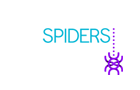 Eir Golden Spider Awards